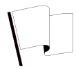 white.gif